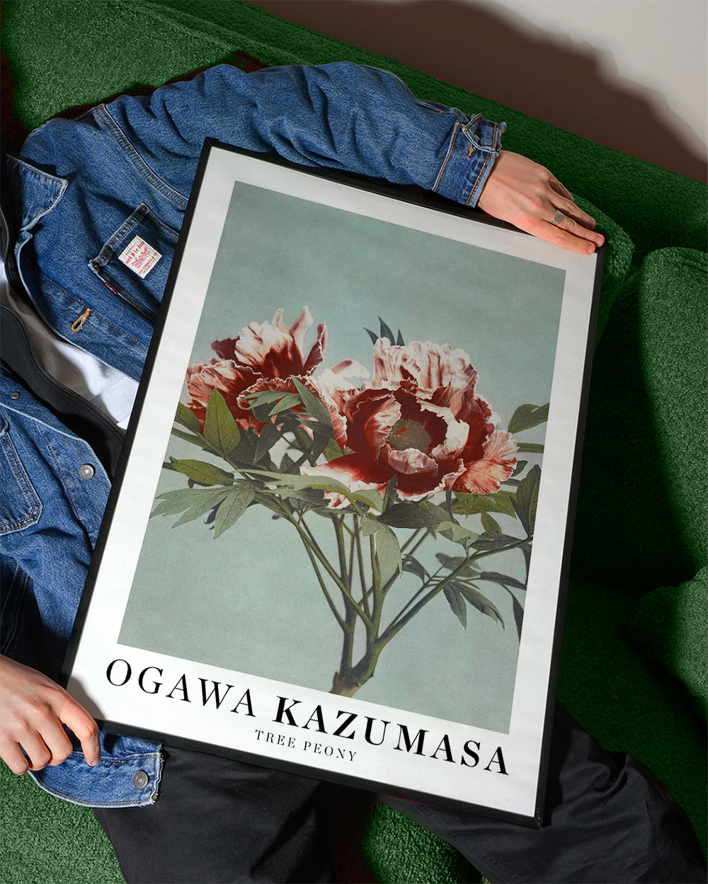 Botanisk plakat Rød pæon på aquamarin