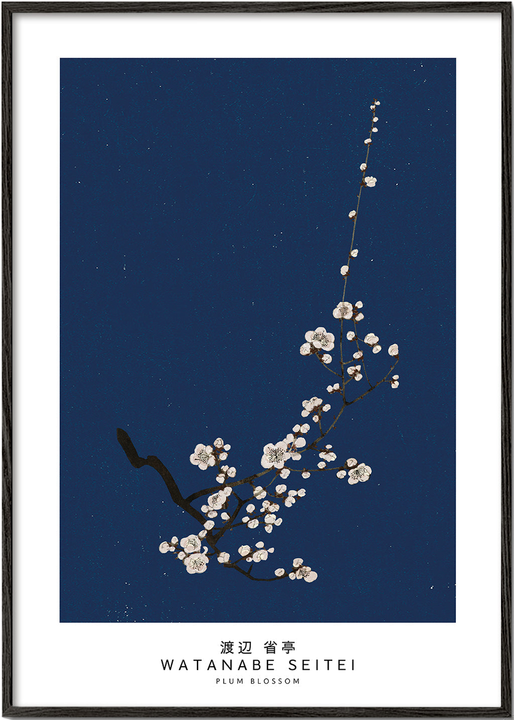 Botanisk plakat: blommegren p? dybt bl?