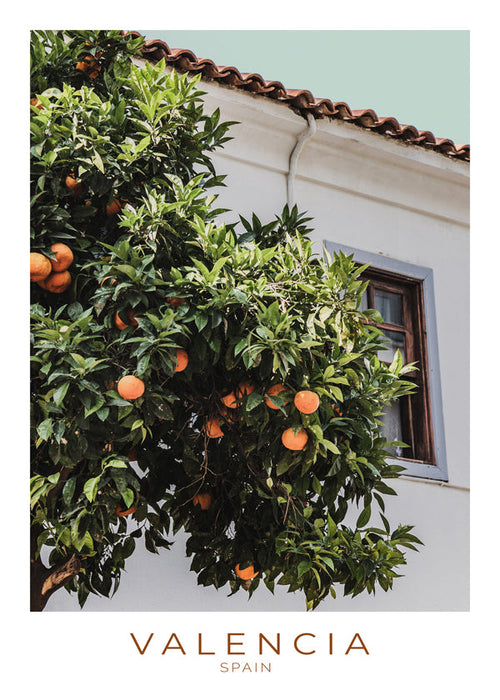 Kunst til byen Valencia med appelsintræ