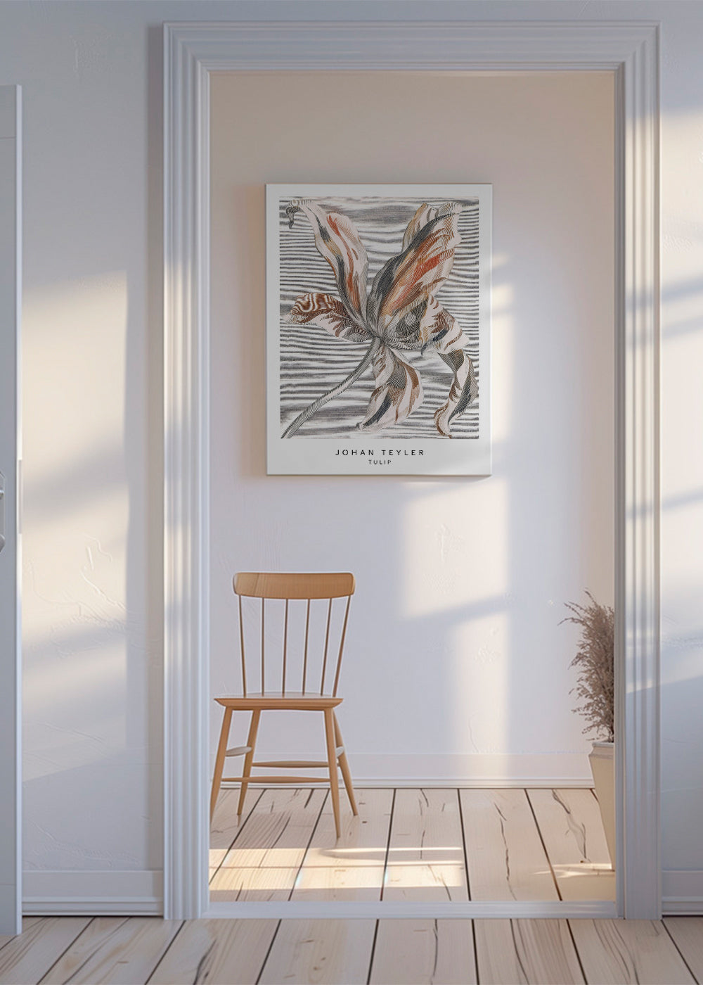 Botanisk plakat: tulipan skitse