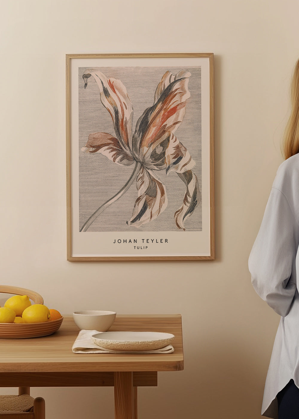 Botanisk plakat: tulipan skitse