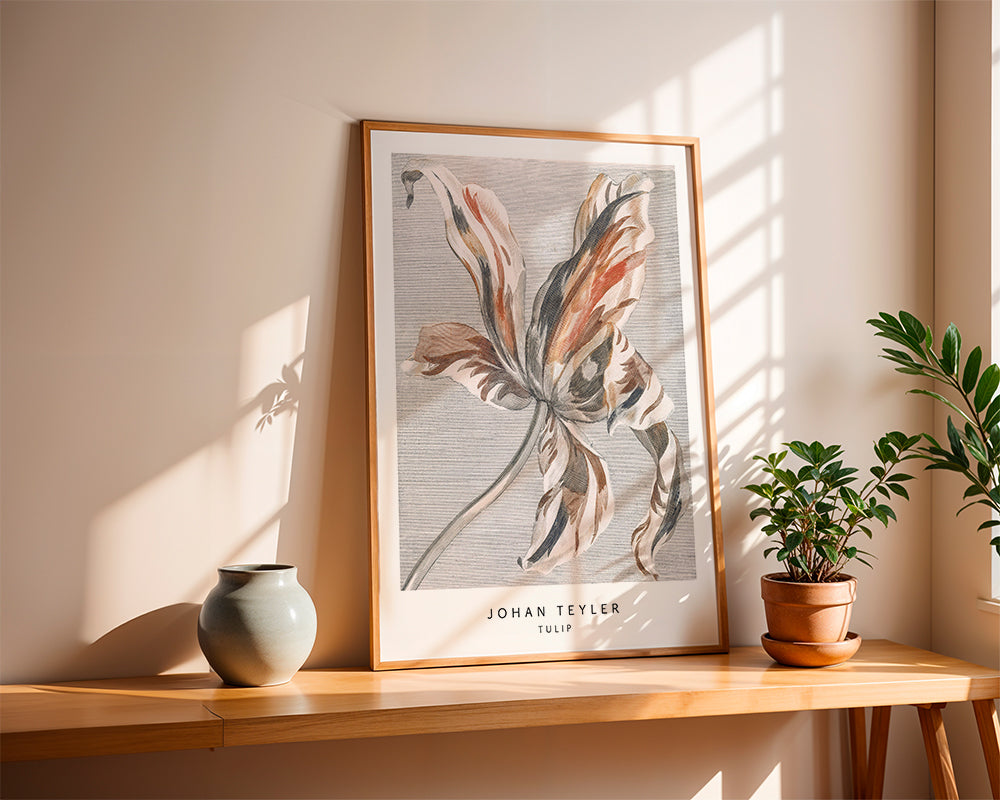 Botanisk plakat: tulipan skitse