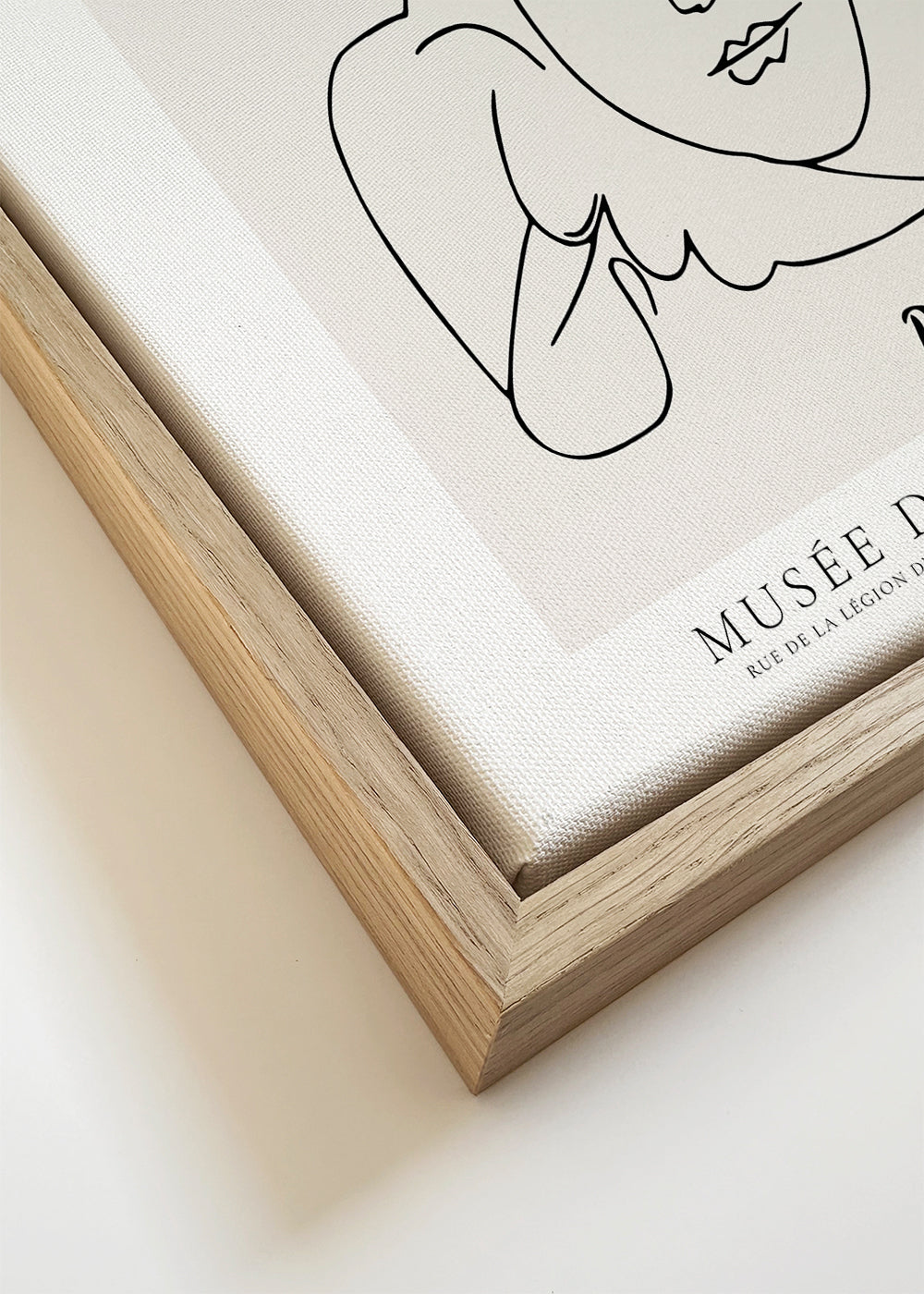 Minimalistisk due og ansigt illustration