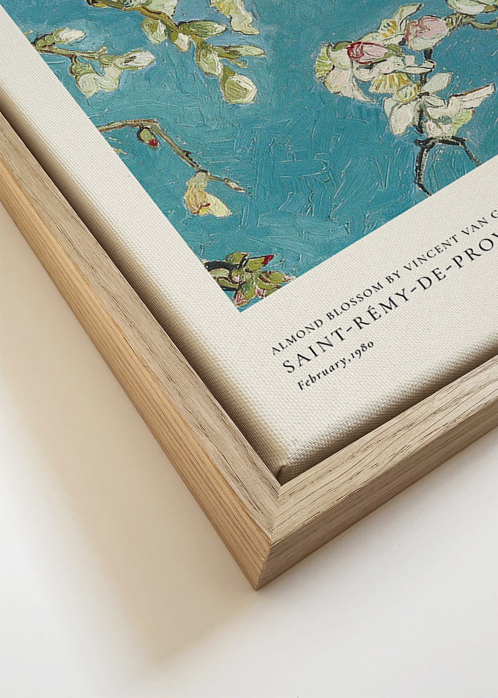 Botanisk plakat mandelgrene på blå baggrund