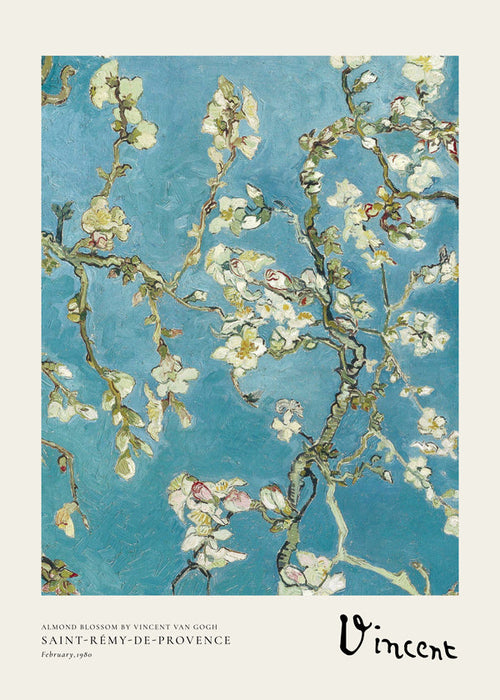 Botanisk plakat mandelgrene på blå baggrund