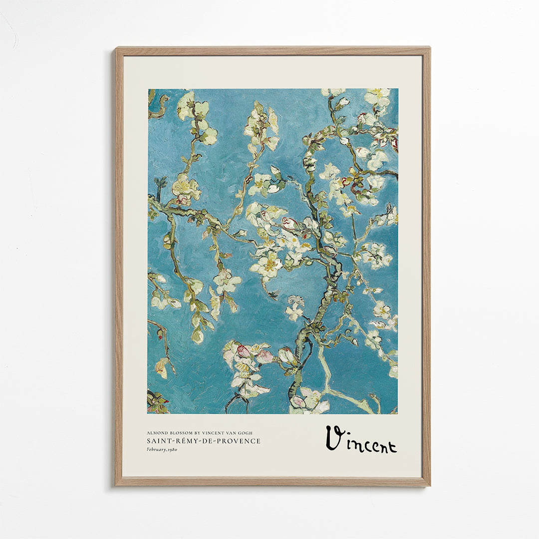 Botanisk plakat mandelgrene på blå baggrund