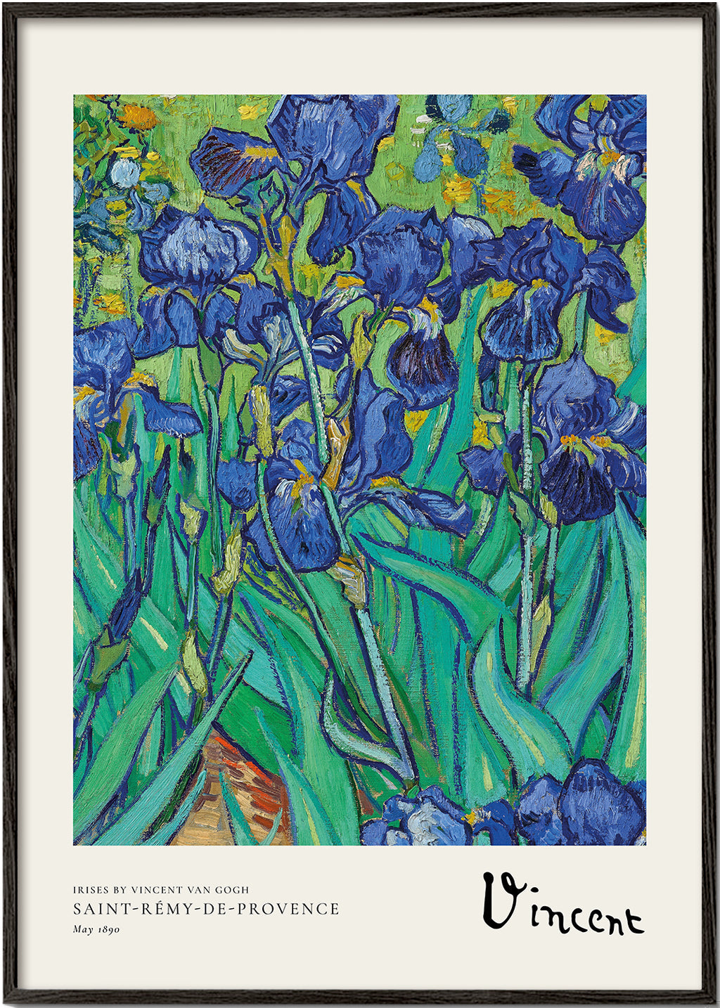 Botanisk plakat: blå iris med ekspressive penselstrøg