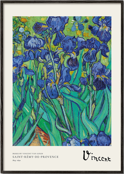 Botanisk plakat: blå iris med ekspressive penselstrøg