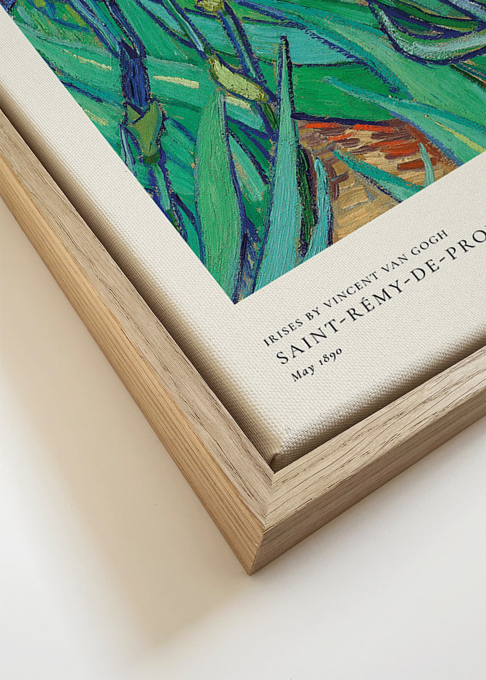 Botanisk plakat: blå iris med ekspressive penselstrøg