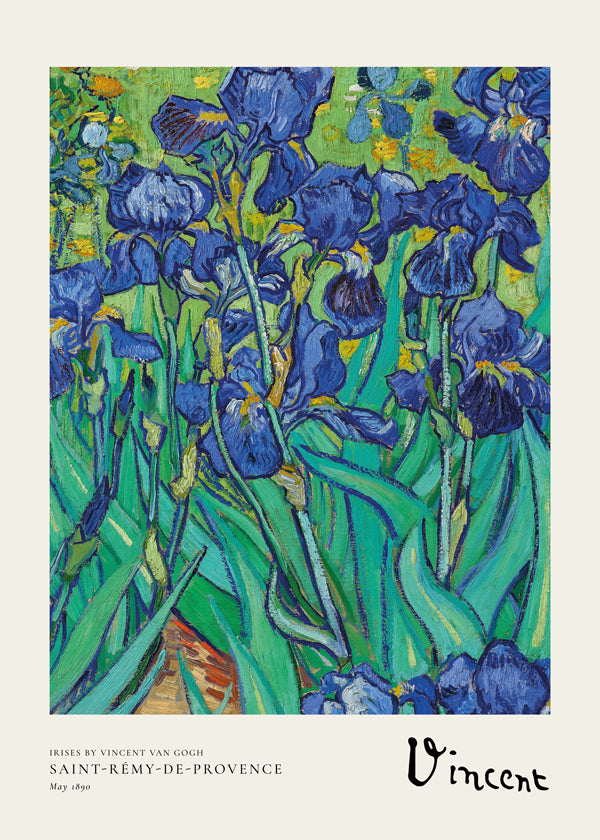 Botanisk plakat: blå iris med ekspressive penselstrøg