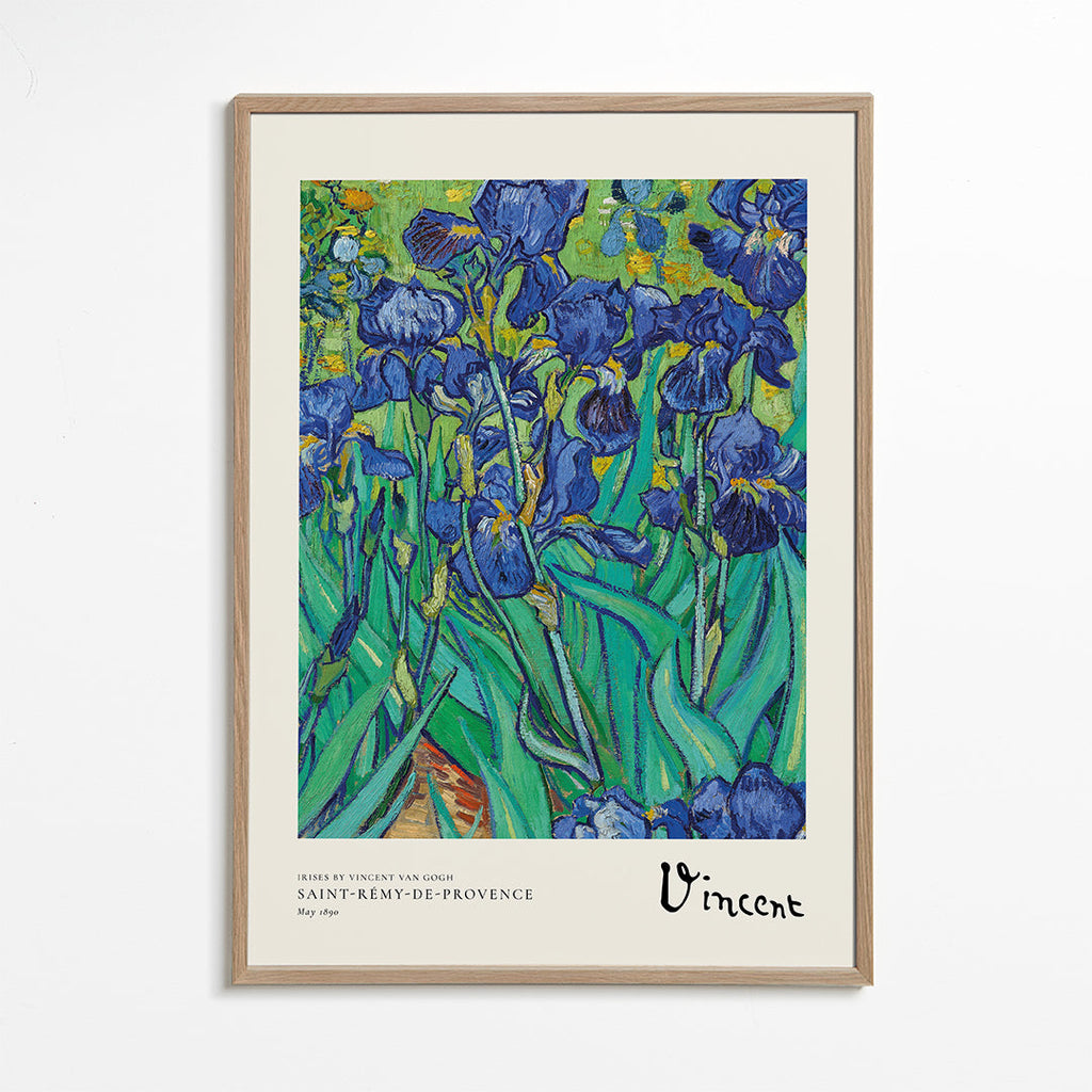 Botanisk plakat: blå iris med ekspressive penselstrøg