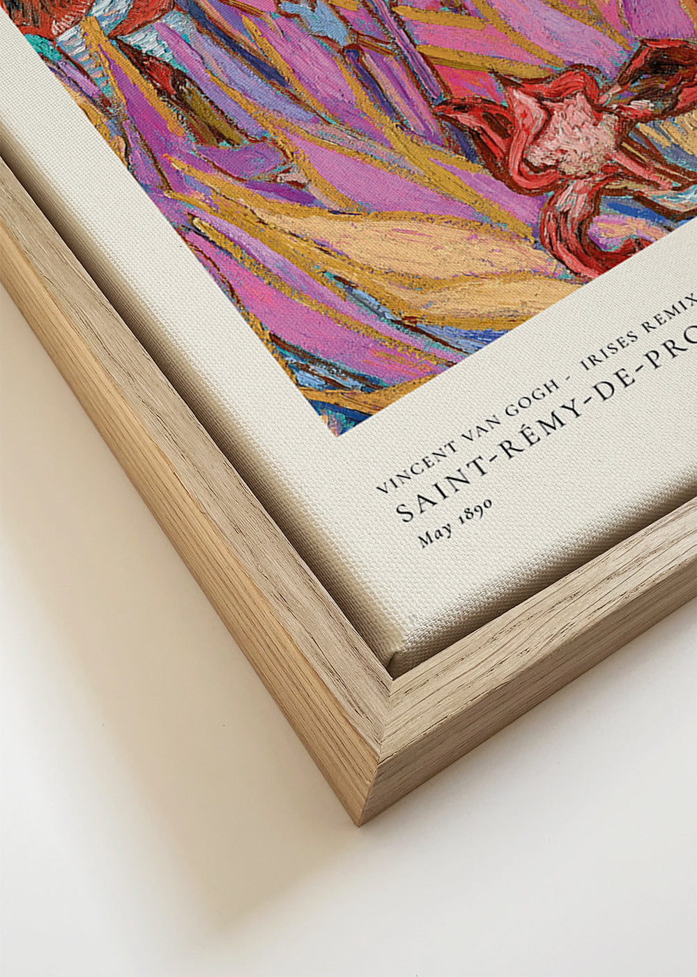 Botanisk plakat: Farverige iris