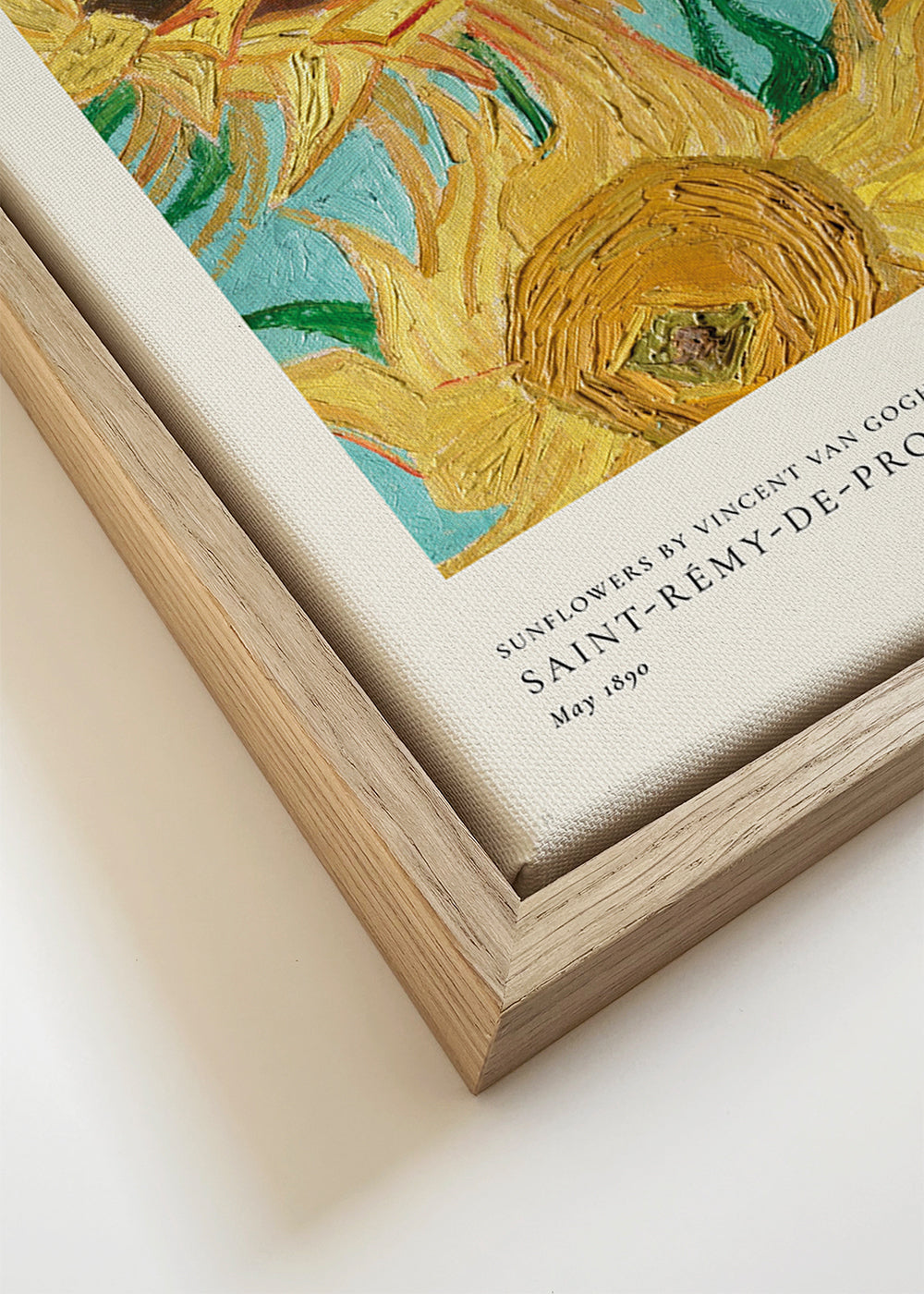 Botanisk plakat med solsikker i olie