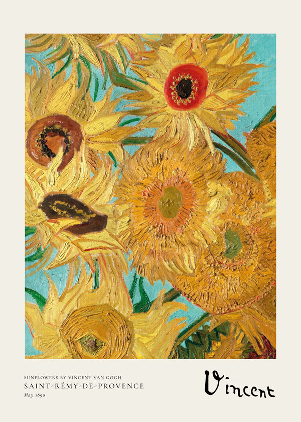 Botanisk plakat med solsikker i olie