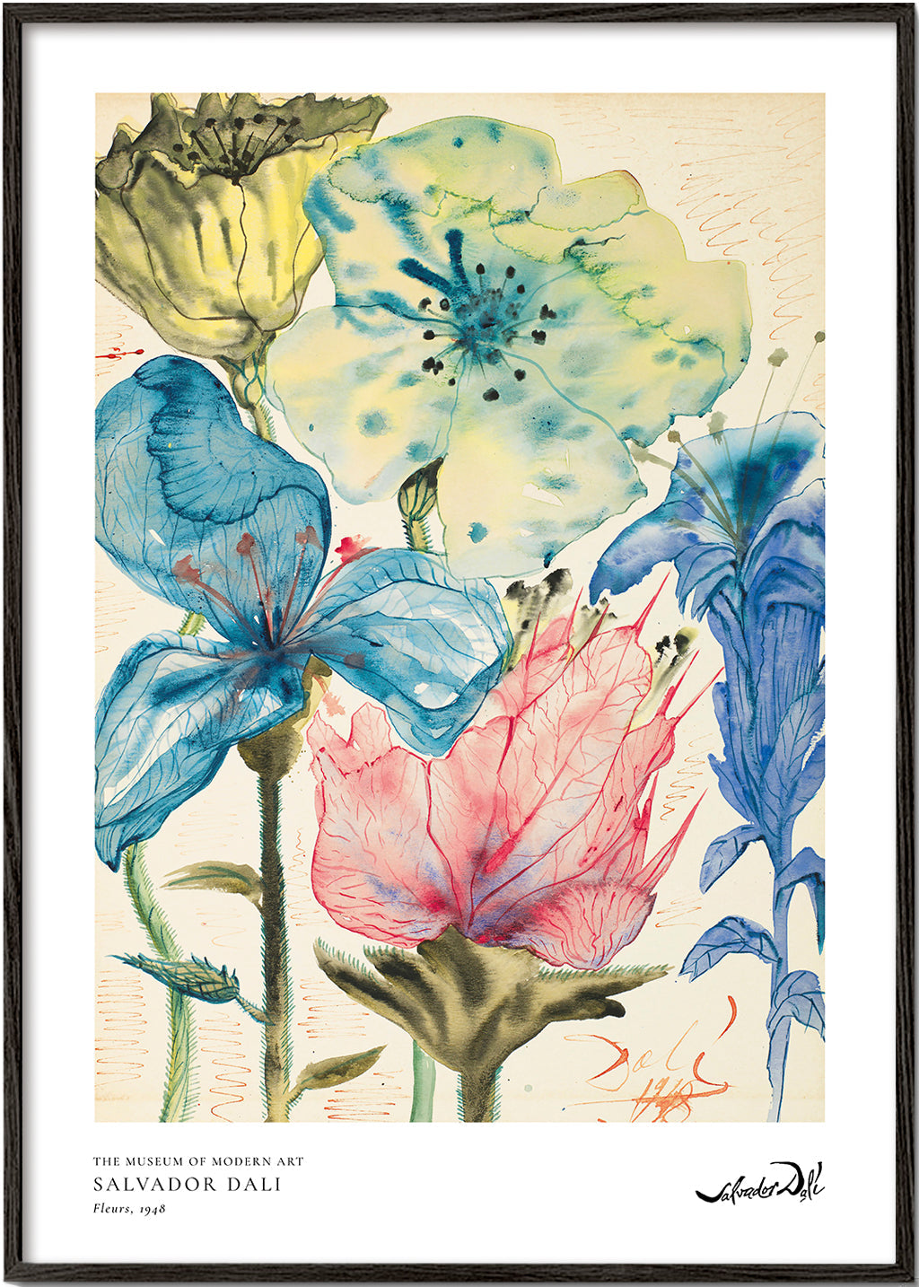 Botanisk plakat Dali blomster i akvarel