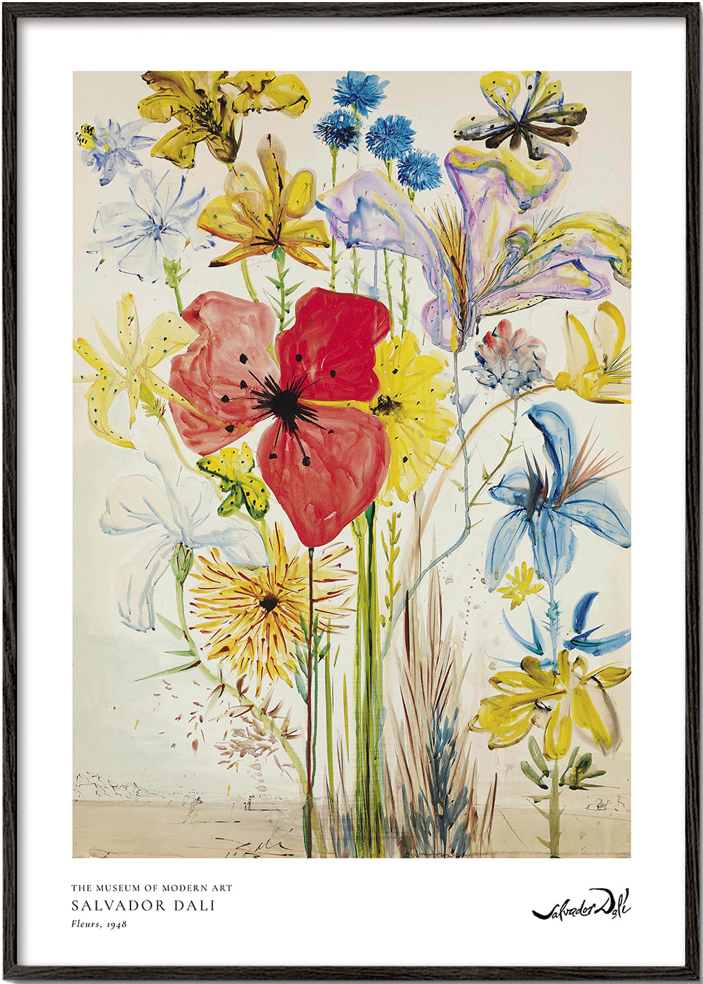 Botanisk plakat med rød valmue i buket
