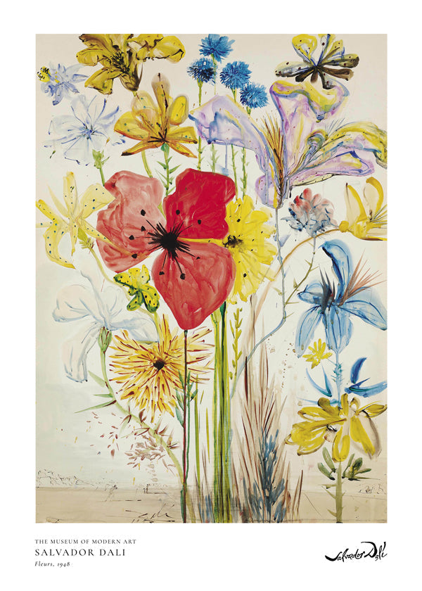 Botanisk plakat med rød valmue i buket