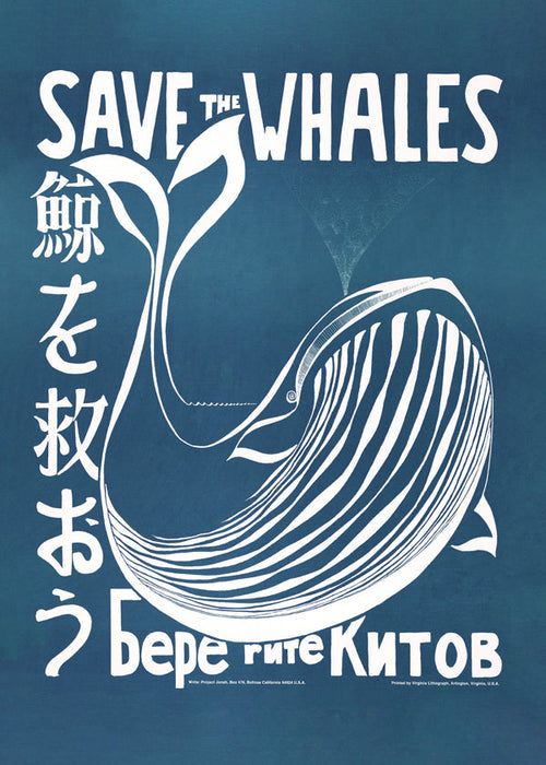 Vintage plakat hval illustration i blå