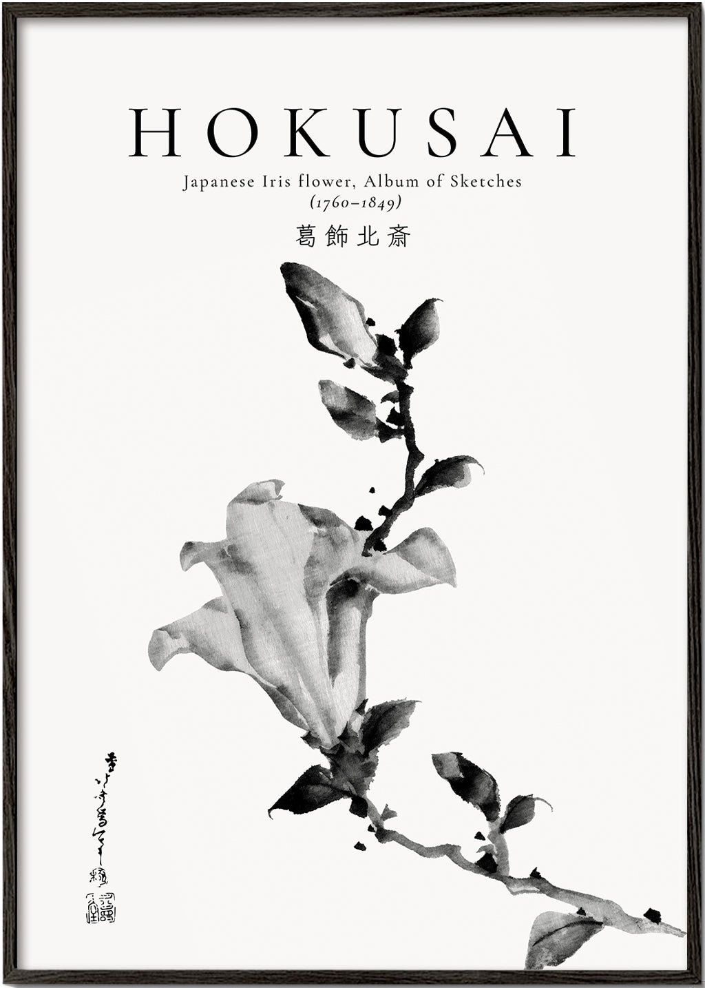 Botanisk plakat Hokusai: japansk iris i blæk
