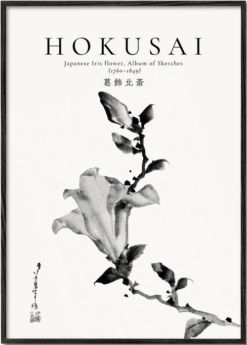 Botanisk plakat Hokusai: japansk iris i blæk