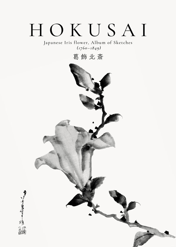 Botanisk plakat Hokusai: japansk iris i blæk