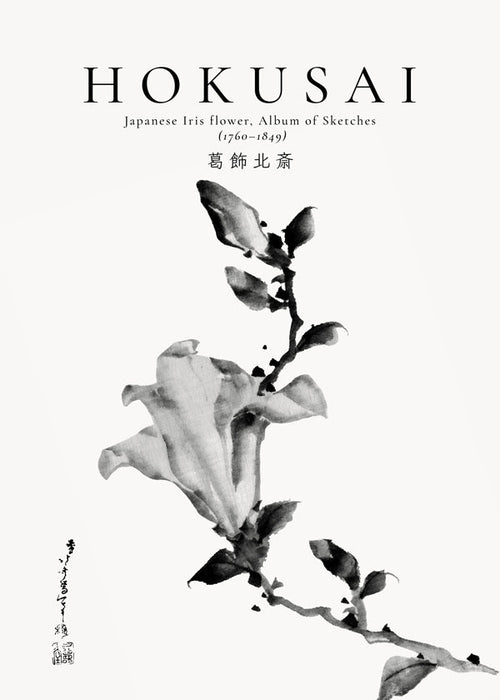 Botanisk plakat Hokusai: japansk iris i blæk