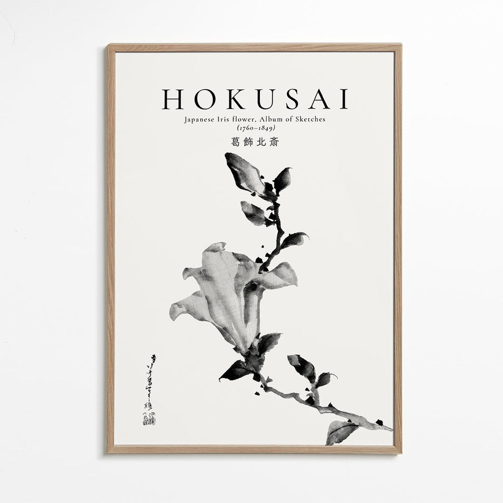 Botanisk plakat Hokusai: japansk iris i blæk