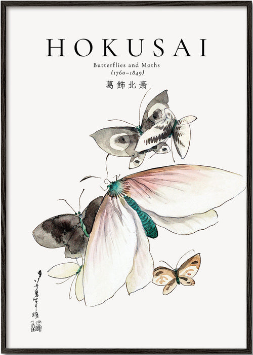 Hokusai sommerfugleillustration i blæk og akvarel