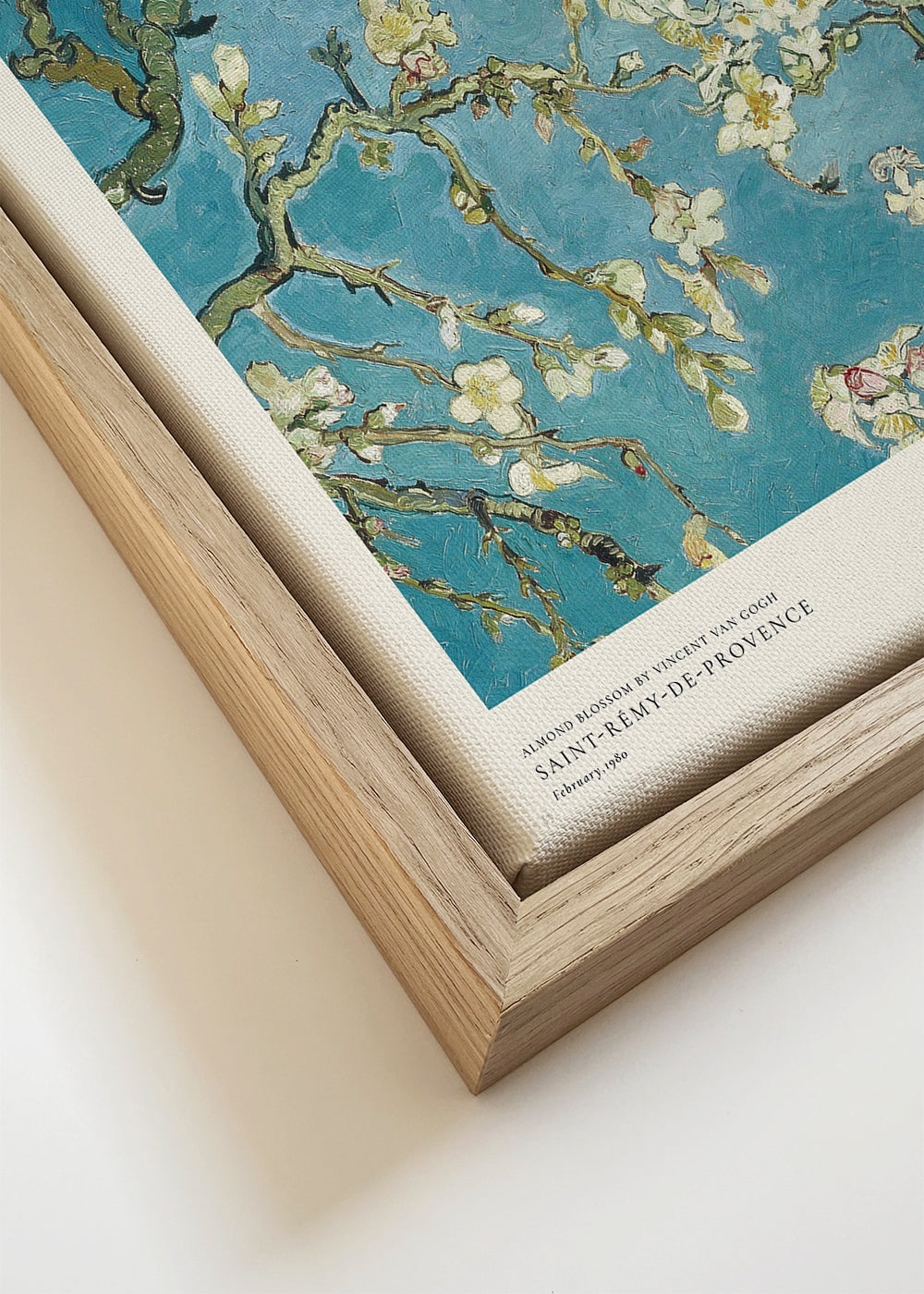 Botanisk plakat: mandelblomst på blaa