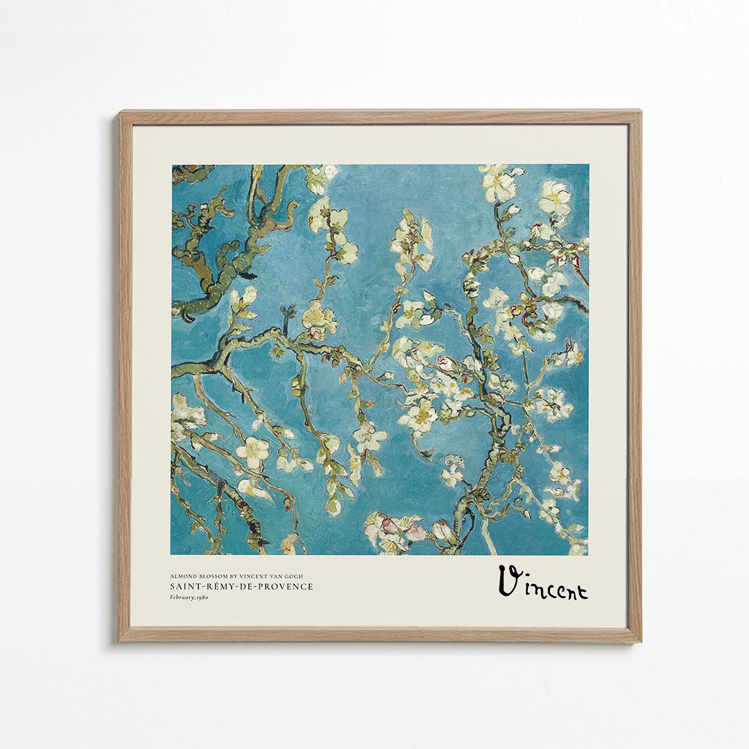 Botanisk plakat: mandelblomst på blaa