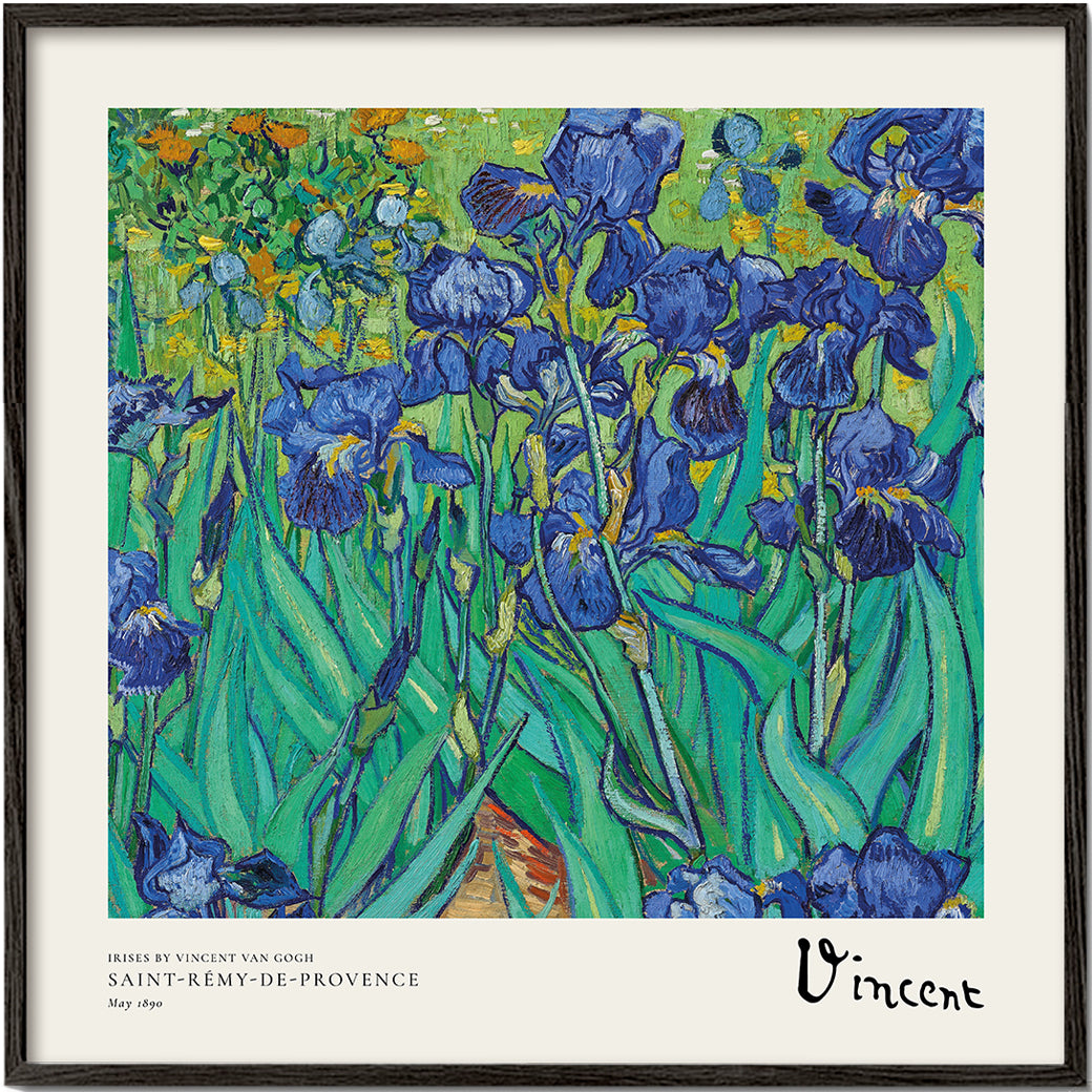 Botanisk plakat med blå iris