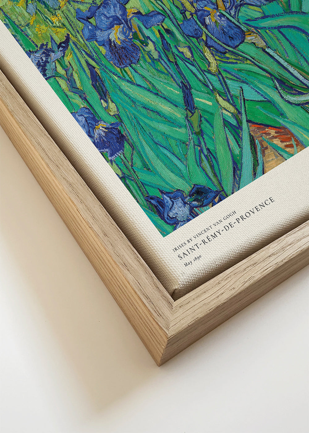 Botanisk plakat med blå iris