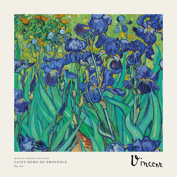 Botanisk plakat med blå iris