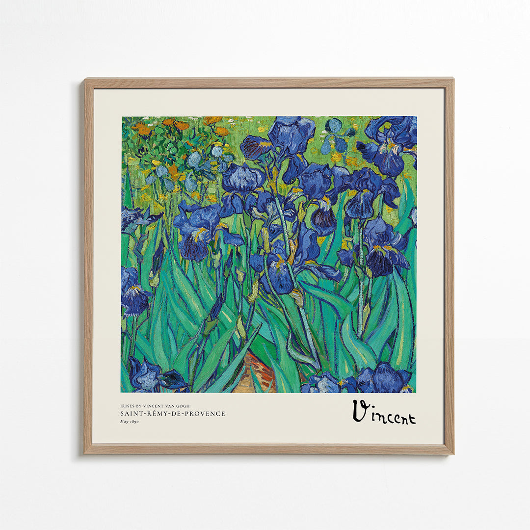 Botanisk plakat med blå iris