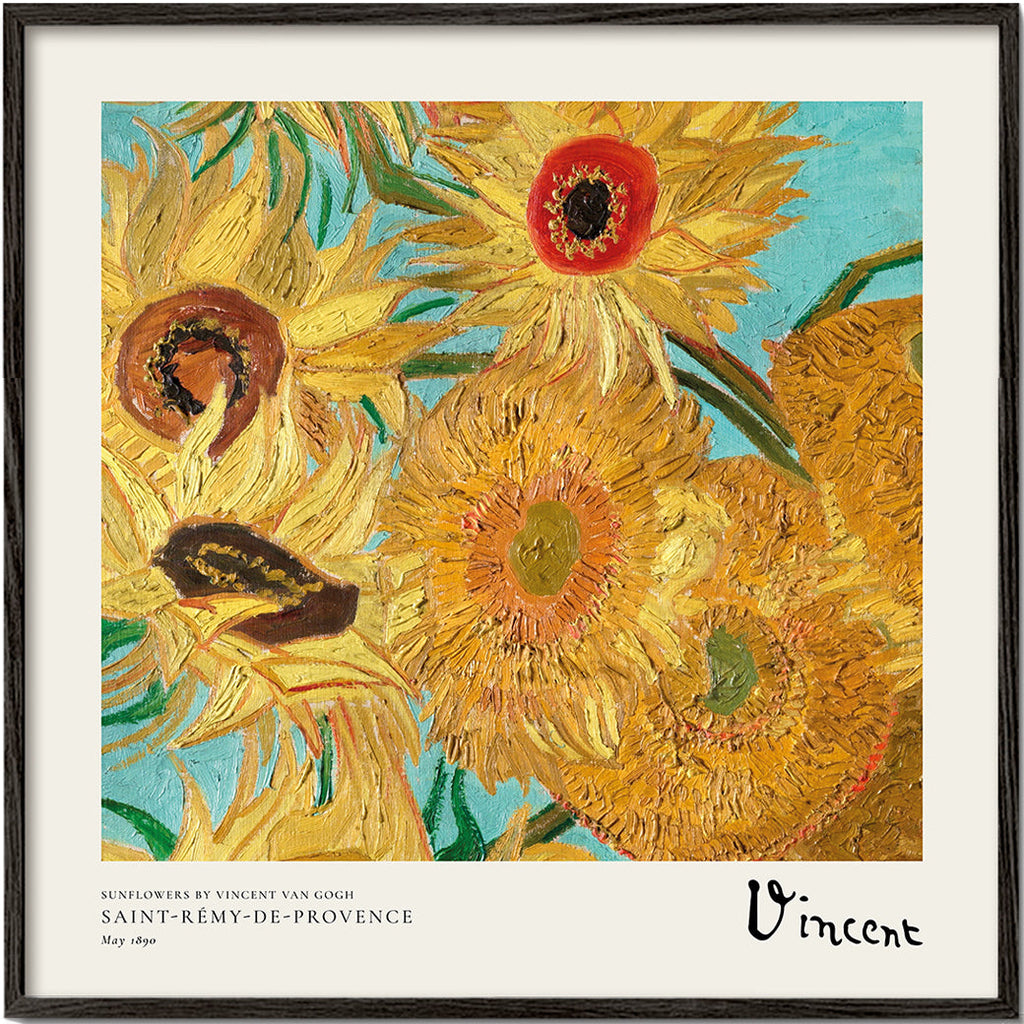 Botanisk plakat Solsikker i impasto