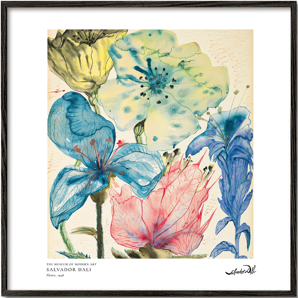 Botanisk plakat: akvarel med blå og rosa blomster