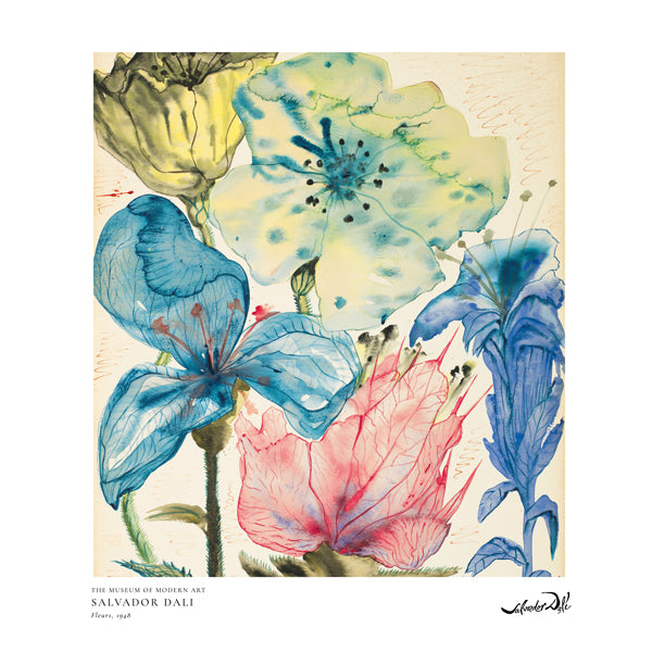 Botanisk plakat: akvarel med blå og rosa blomster