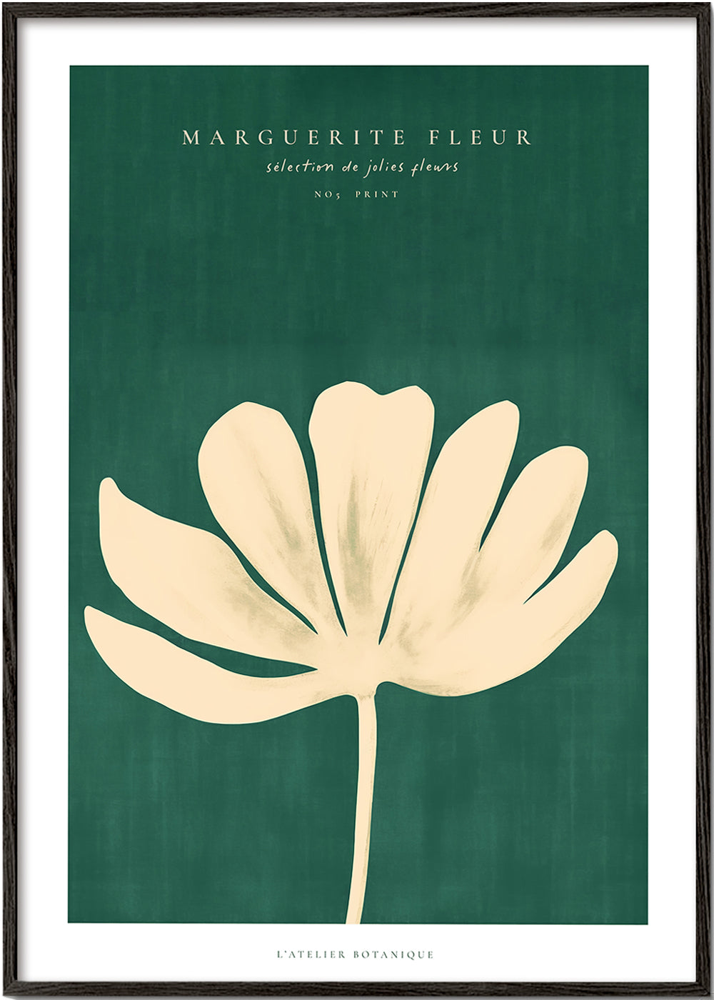 Botanisk plakat med marguerit i creme-silhuet