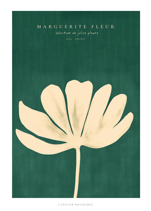 Botanisk plakat med marguerit i creme-silhuet
