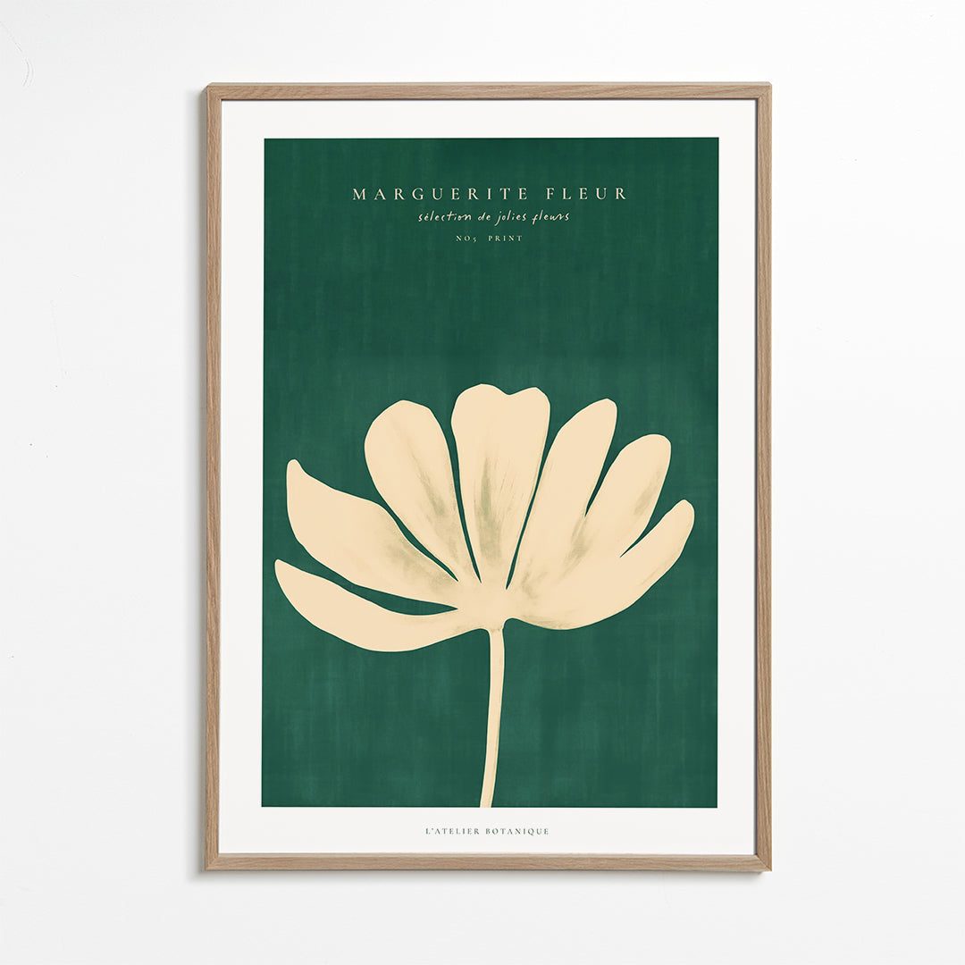Botanisk plakat med marguerit i creme-silhuet