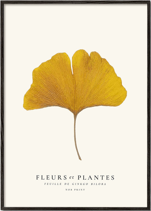 Botanisk plakat | Gul ginkgo-blad