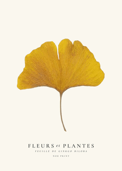 Botanisk plakat | Gul ginkgo-blad