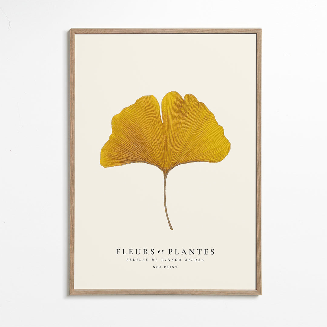 Botanisk plakat | Gul ginkgo-blad