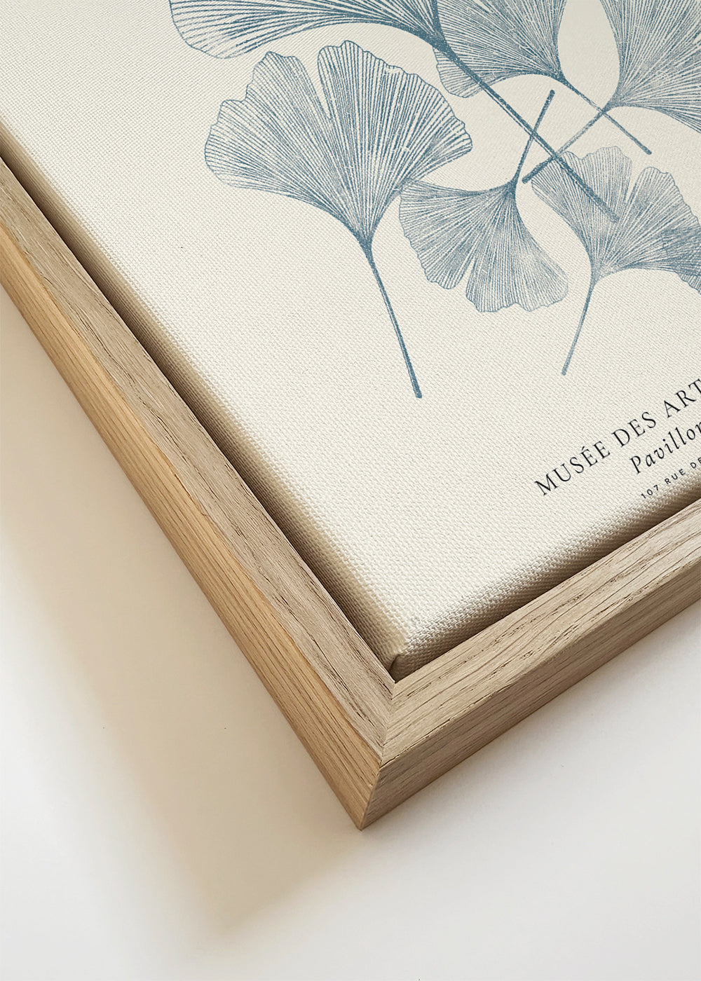 Botanisk plakat Ginkgo linogravure i blå
