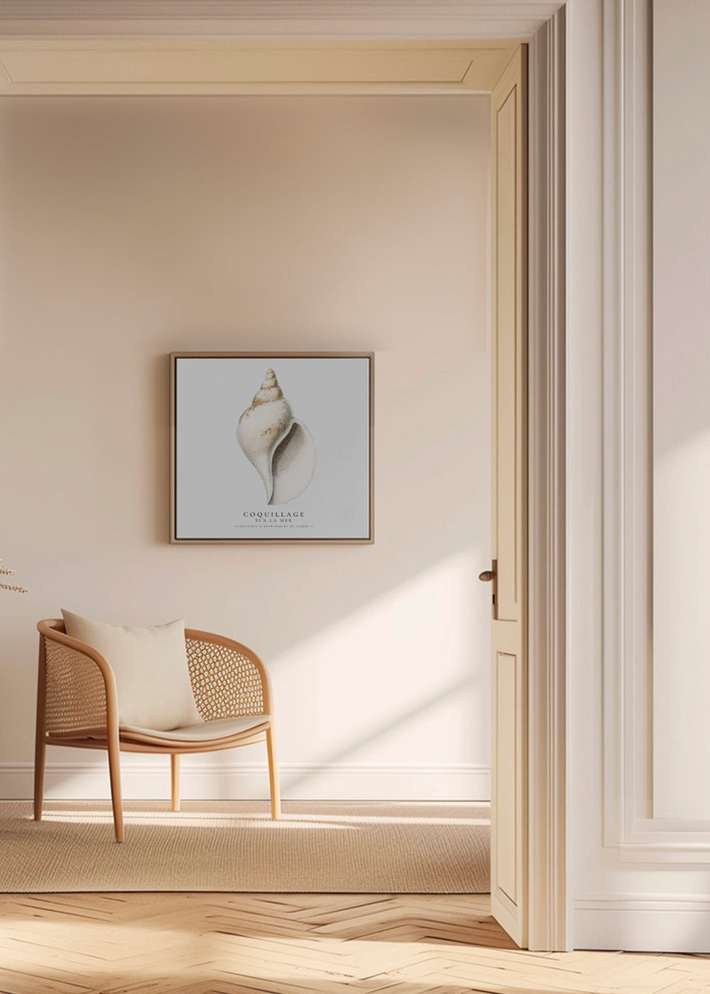 Videnskabelig sneglehus-illustration