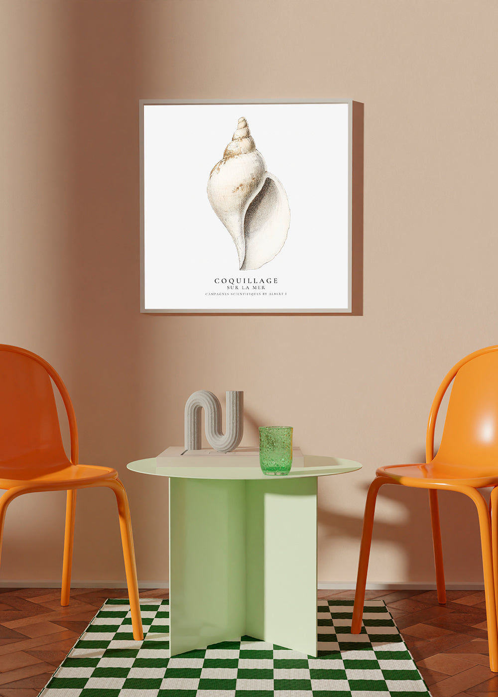Videnskabelig sneglehus-illustration
