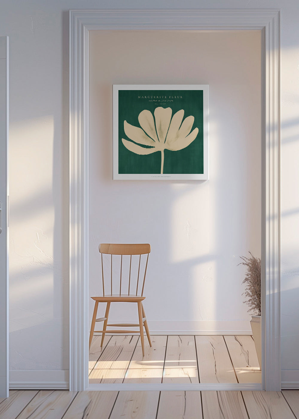 Botanisk plakat: marguerit på grøn baggrund