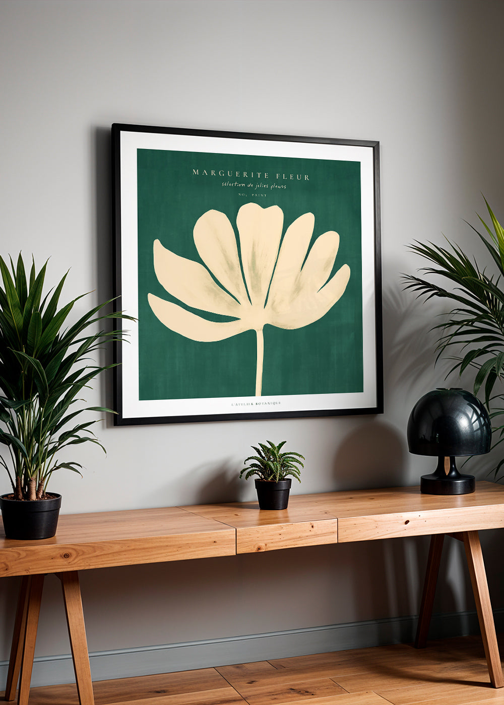 Botanisk plakat: marguerit på grøn baggrund