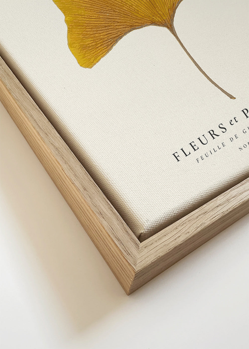 Botanisk plakat ginkgo blad gul