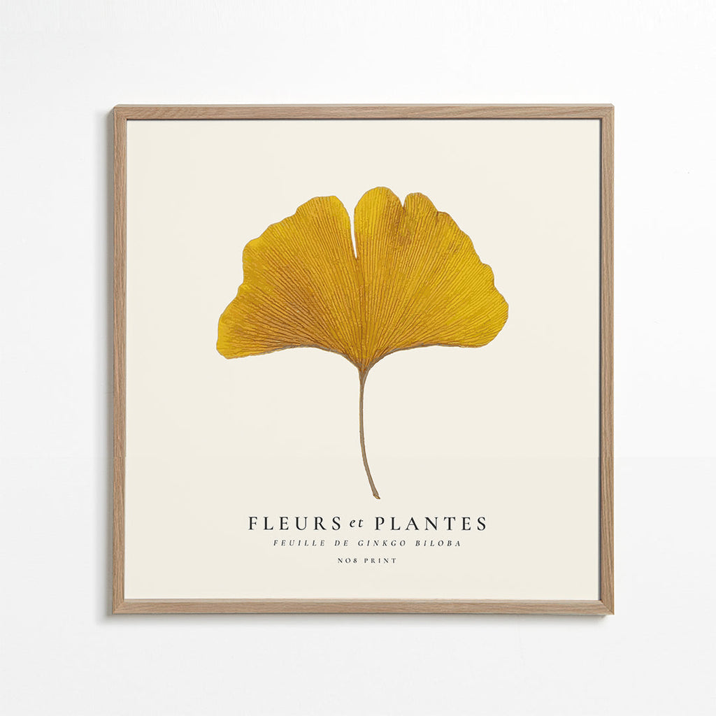 Botanisk plakat ginkgo blad gul